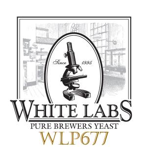 White Labs WLP677 Lactobacillus Delbrueckii Bacteria